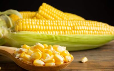 FPO Corn